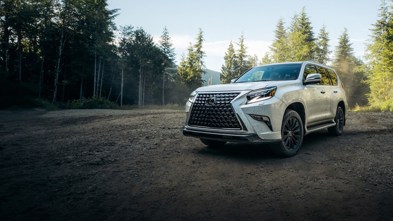 Lexus GX parked in a woodland